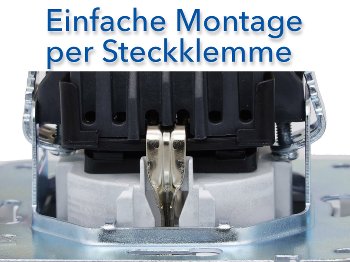 DELPHI Schutzkontakt-Steckdose, silber - 250V~/ 16A, Steckanschluss, ohne Rahmen