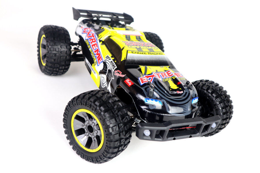RC Elektro Buggy 1:10 "Extreme 202E"