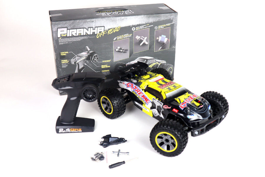 RC Elektro Buggy 1:10 "Extreme 202E"