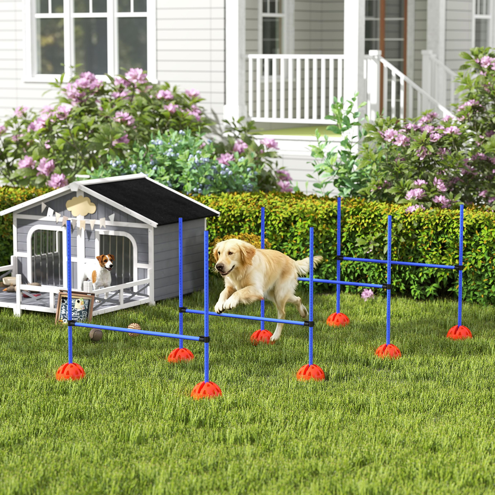 4-teiliges Hunde-Agility-Set mit 4 Hürden und Tragetasche für das Sprungtraining, Blau