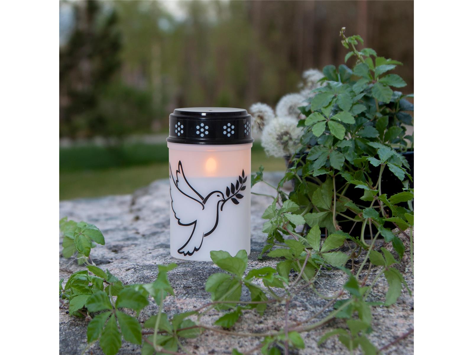 LED-Grablicht ''Dove'', weiß mit Taubenmotiv, warmweiß, 12,5x7,5cm, outdoor