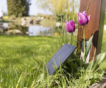 Biergarten-Lichterkette "CT-BGL 10Solar" - 2m + 4,5m, 10x Filament Led Lampe, IP44