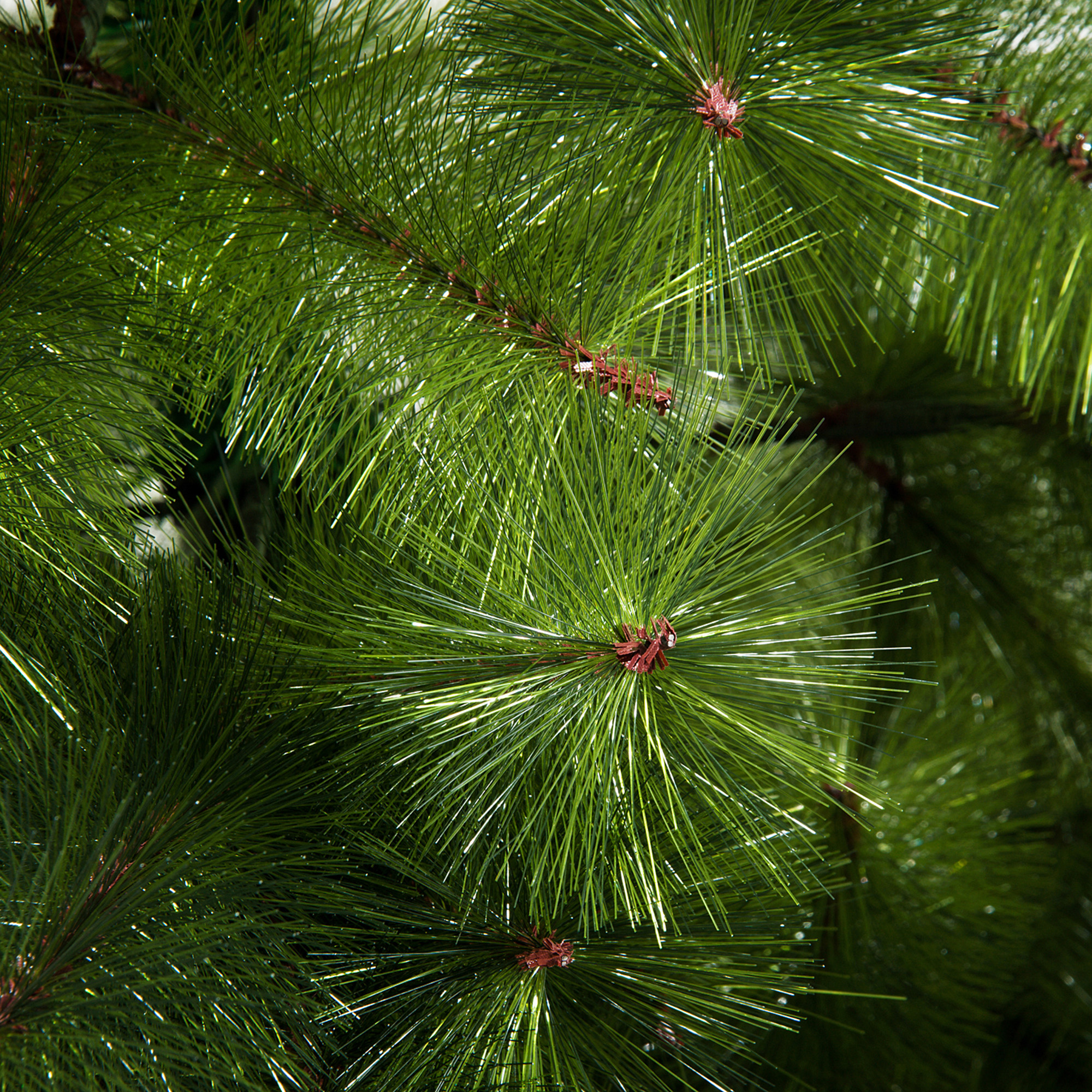Künstlicher Weihnachtsbaum 210 cm künstlich Tannenbaum mit 505 Spitzen Christbaum Weihnachtsdeko inkl, Metallständer für drinnen