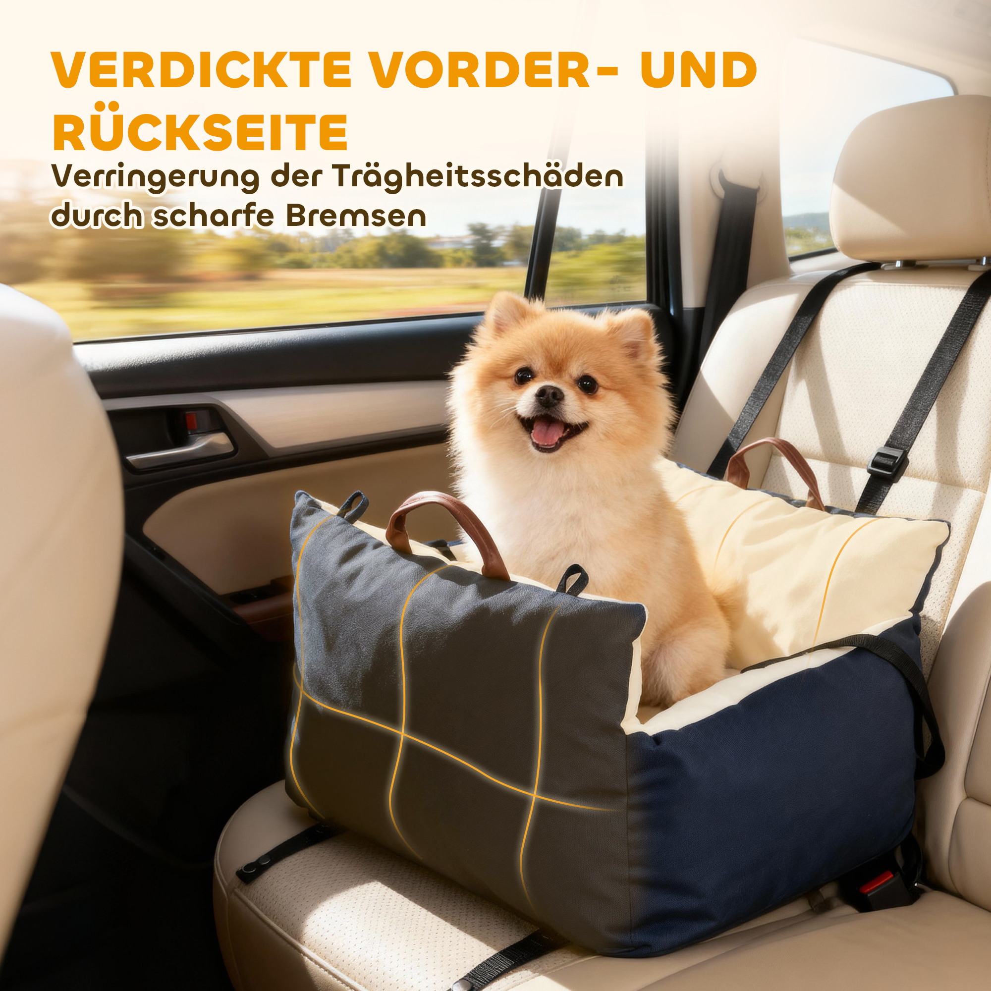 Hundeautositz, 2 Gurte, waschbare Bezüge, für Haustiere unter 5 kg, Blau