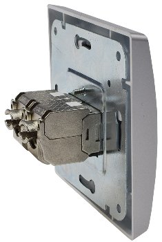 DELPHI Netzwerk-Dose 2x CAT6 - inkl. Rahmen, UP, silber