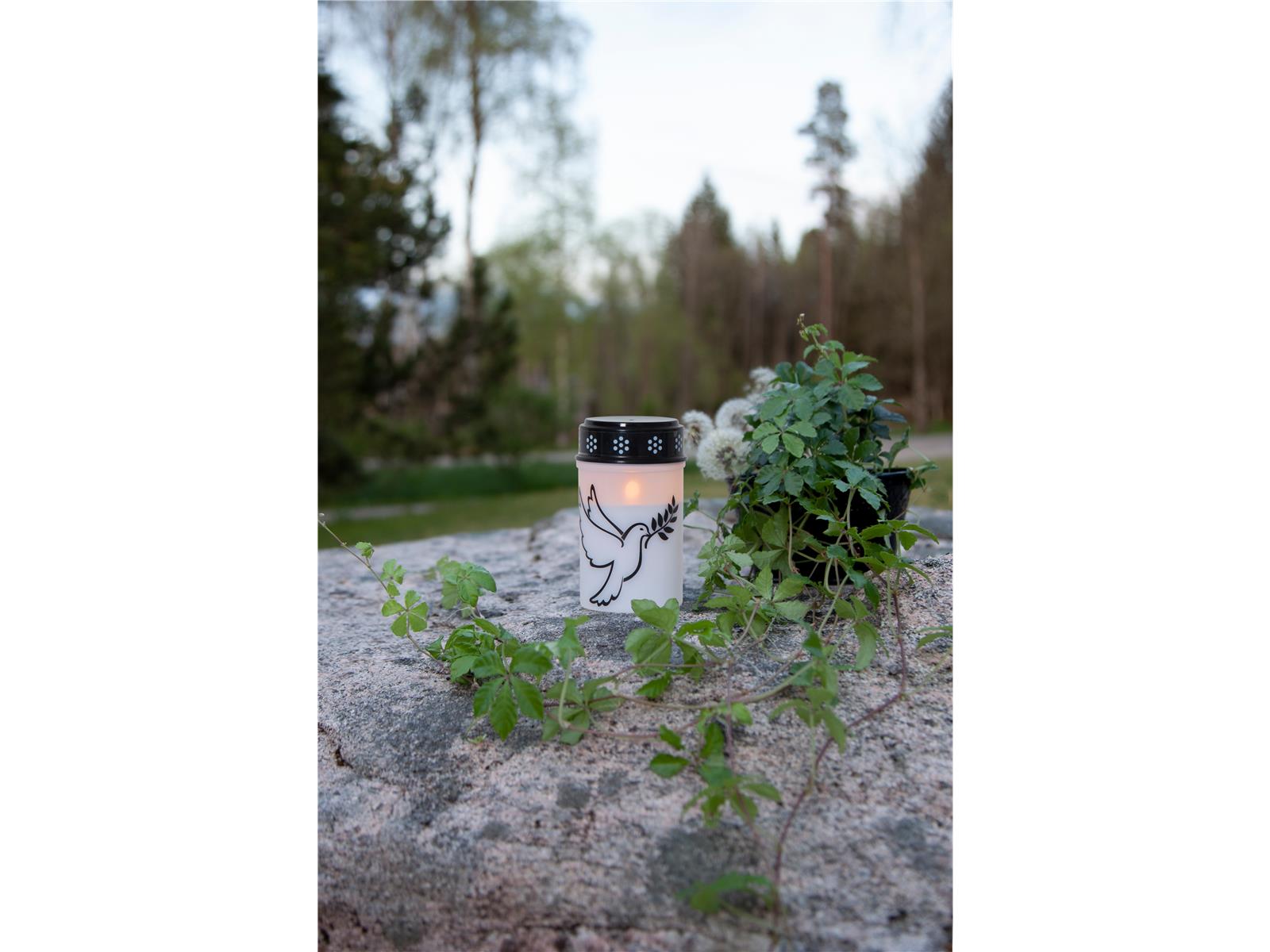 LED-Grablicht ''Dove'', weiß mit Taubenmotiv, warmweiß, 12,5x7,5cm, outdoor
