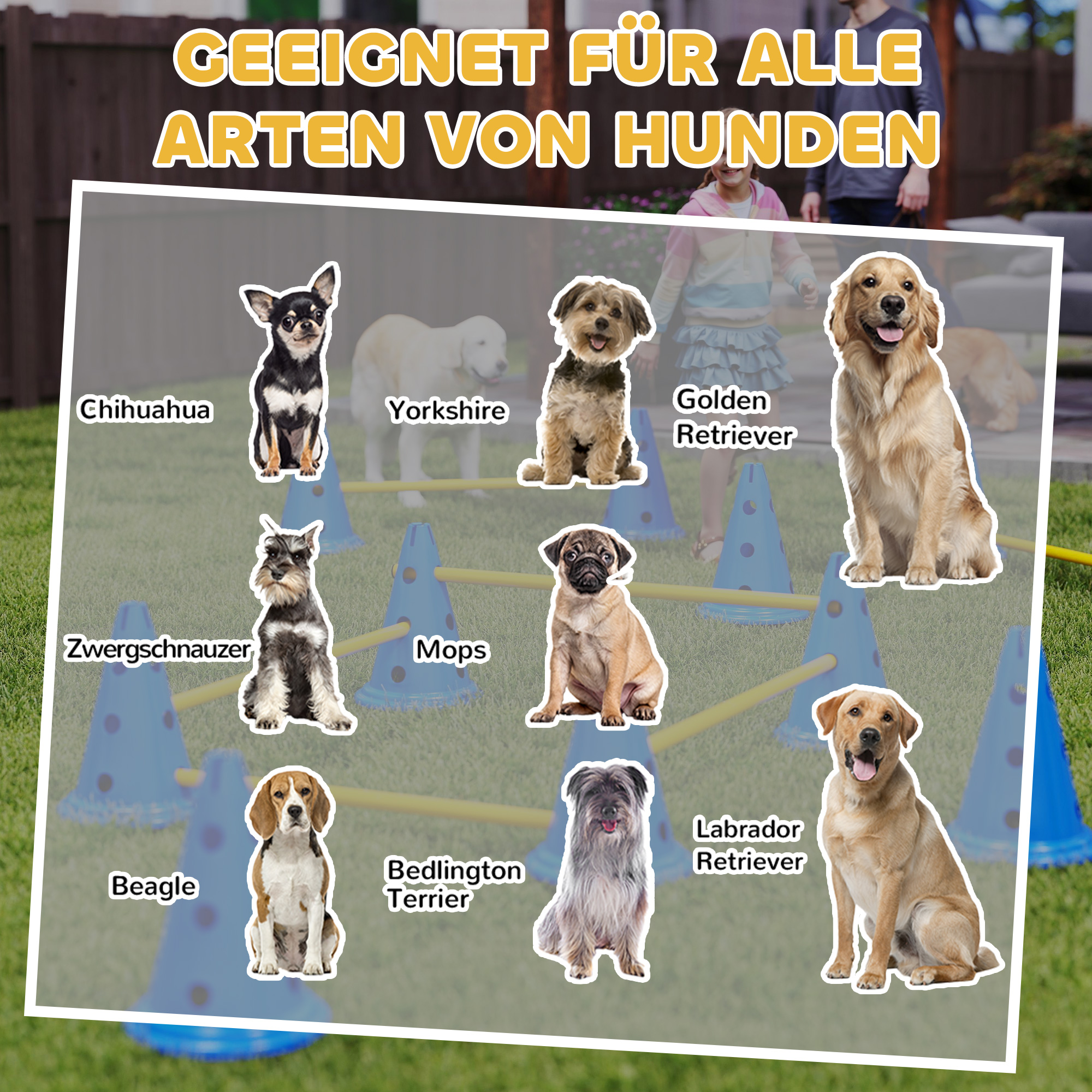 Agility Set Hunde 6-teiliges Agility-Ausrüstung für Hundetraining Steckhürdenset mit 12 Kegel 6 Hürden Tragetasche